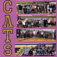 Wildcats Start CATS Families Program