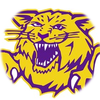 Small_1533162152-plain_wildcat2